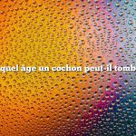 Question : À quel âge un cochon peut-il tomber enceinte ?